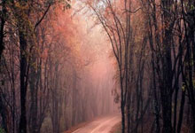 精彩回放:球员在比赛中连续突破完成进球