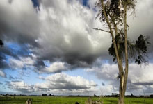 瓦伦西亚凭借进球优势力擒毕尔巴鄂